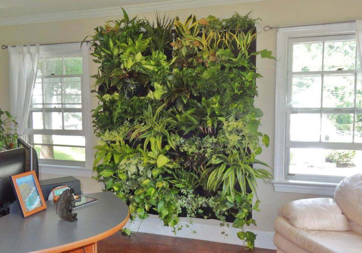 Вертикальна стіна із кімнатних рослин