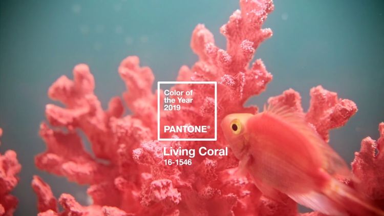 Головний колір 2019 року: кораловий