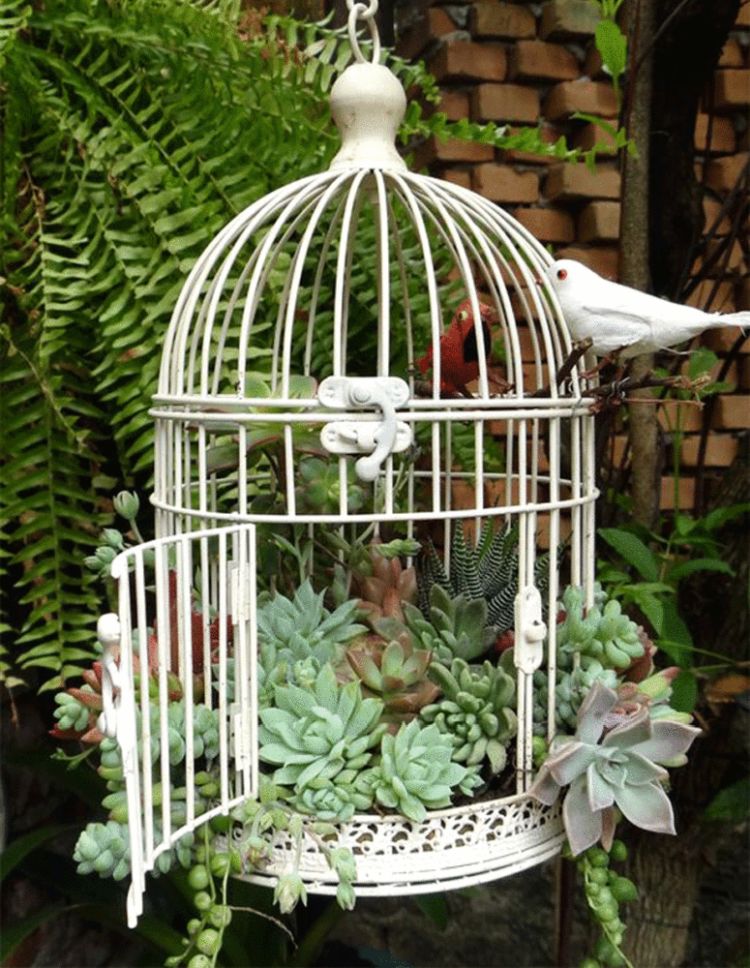 Декоративний міні-сад в пташиній клітці