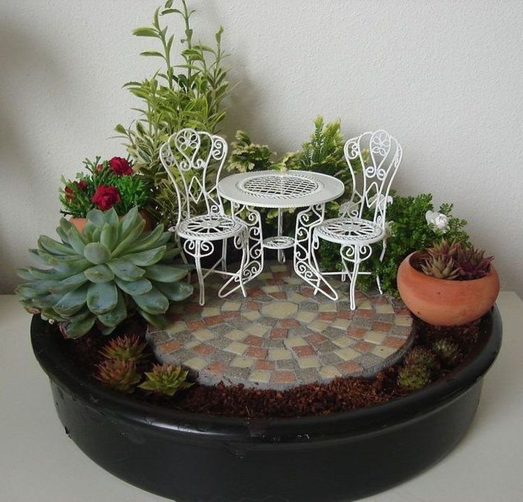 Міні-сад з крихітних декоративних рослин