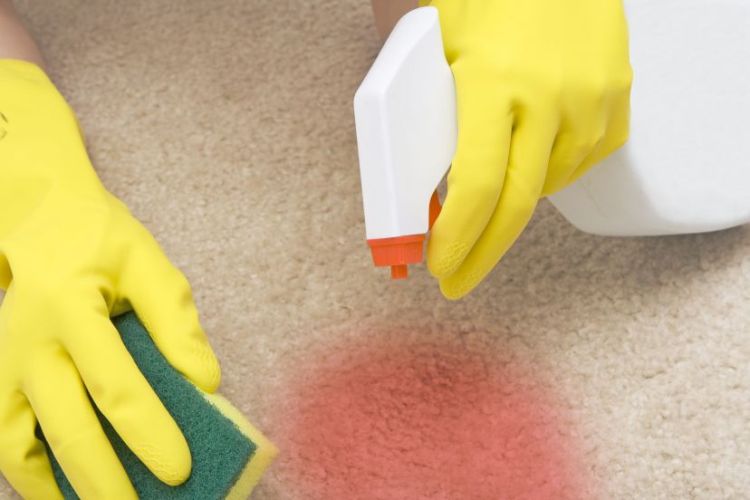 Шкідлива порада, як почистити брудний килим
