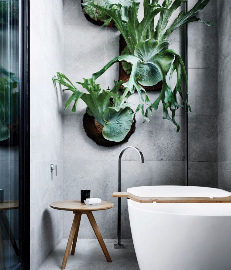Вишукана ванна: декоративні кімнатні рослини в інтер'єрі