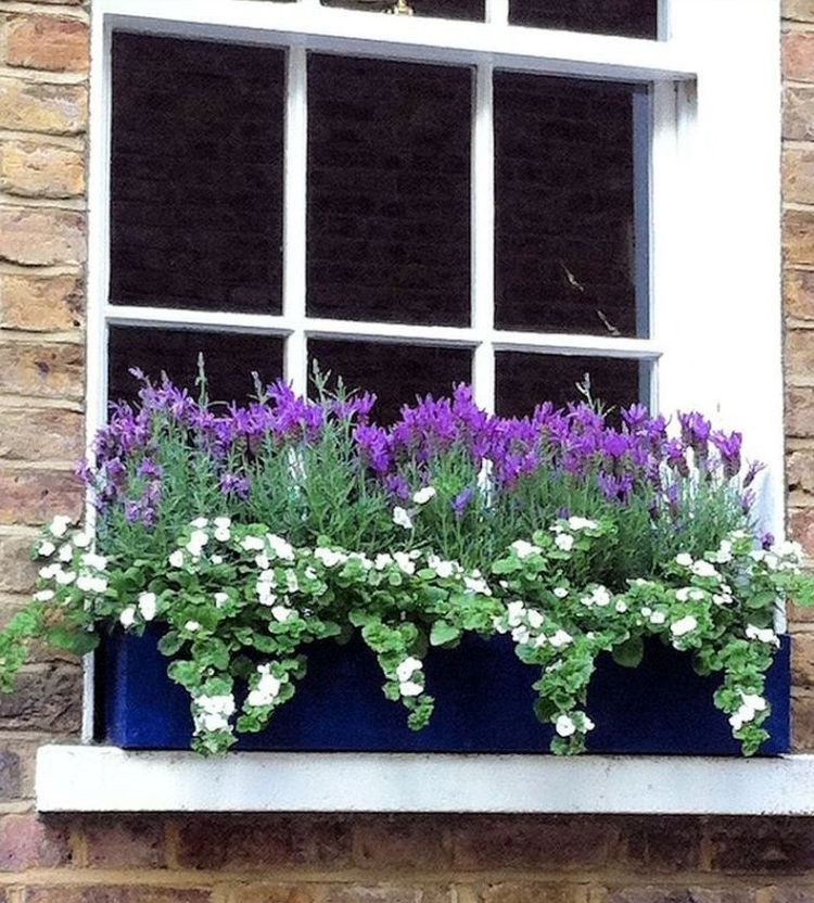 Квітковий контейнер за вікном багатоповерхівки
