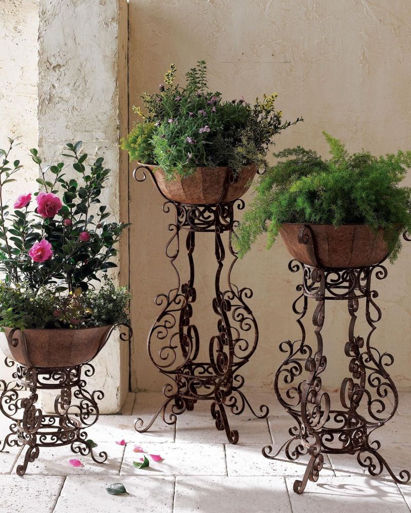 Група декоративних рослин на кованих підставках декорує порожній куток