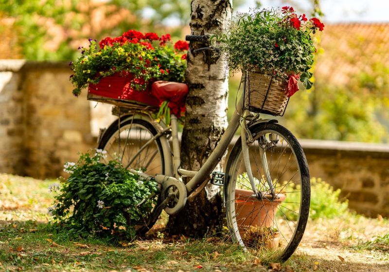 Контейнери з квітами можна закріплювати не тільки в спеціальних тримачах, але й ставити поруч з велосипедом