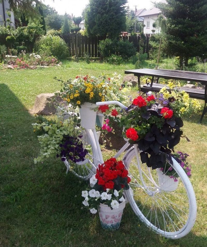 Клумба-велосипед білого кольору з барвистими квітами прикрашає місце відпочинку на дачній ділянці