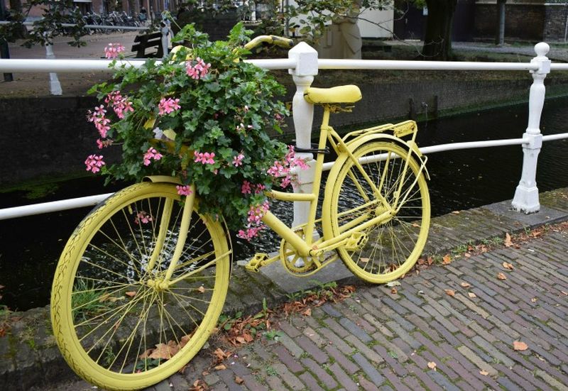 Фарбований у жовтий колір старий велосипед складає цікавий дует з рожевими квітами ампельної пеларгонії