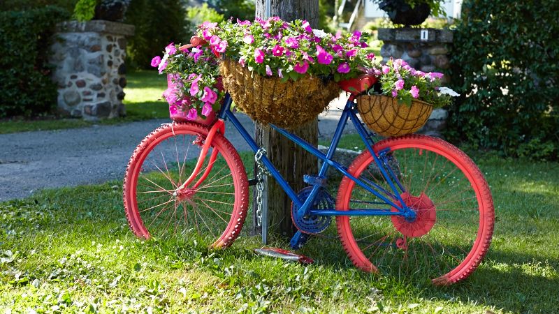 Пофарбований старий велосипед як клумба для петуній