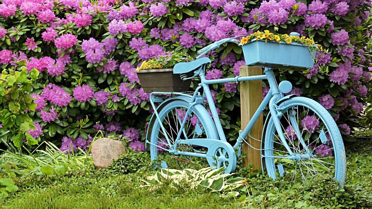 Клумба-велосипед для дачі та саду