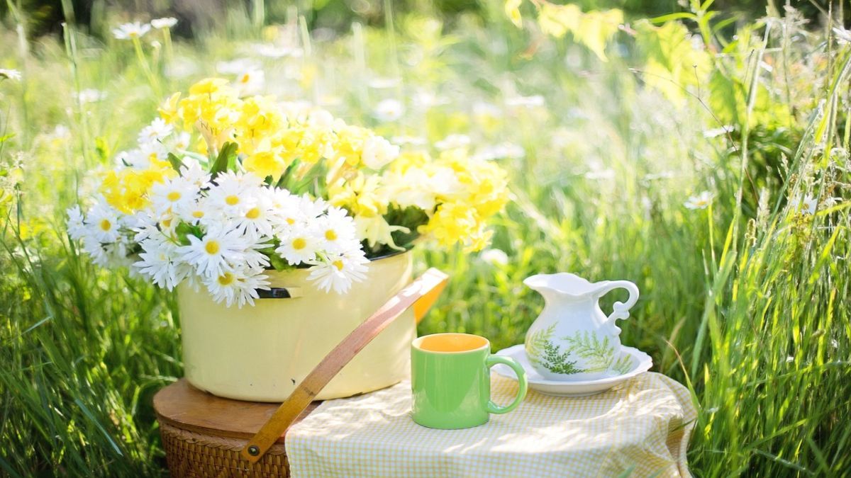Букет ромашок – символ літа у вашому домі