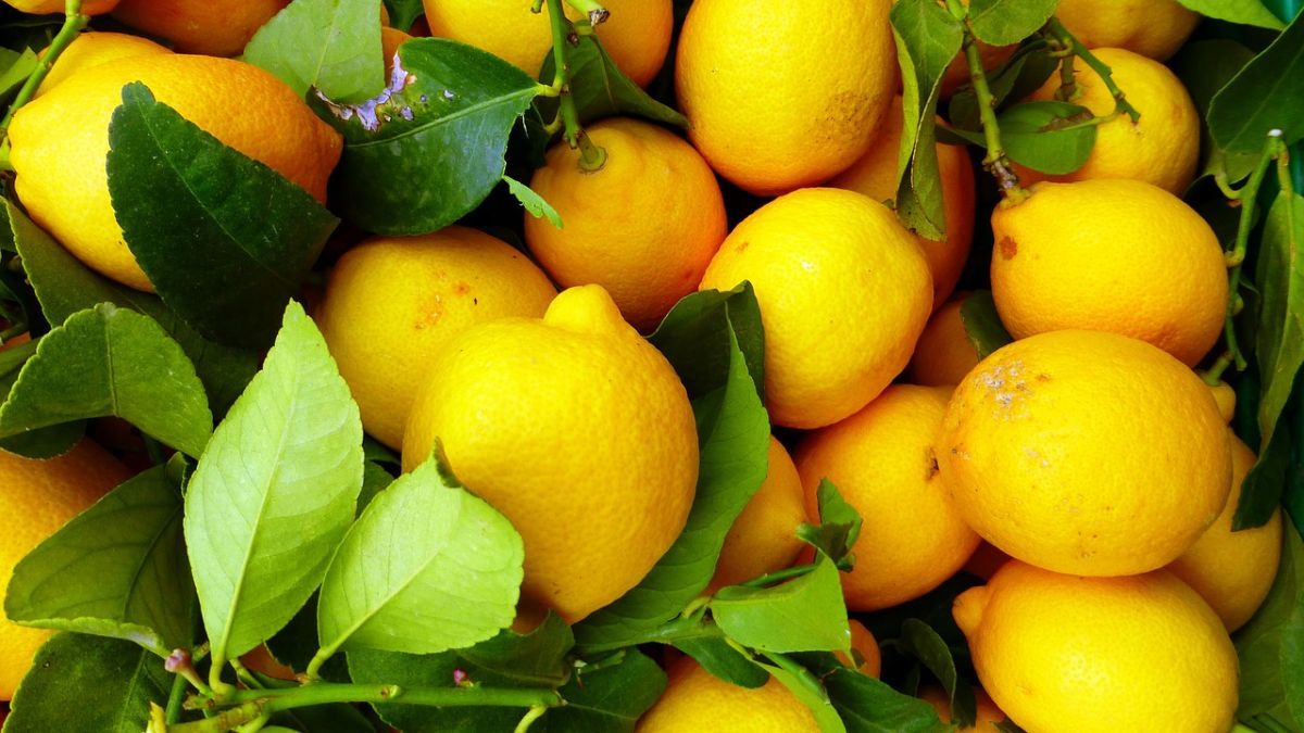 Лимон у домашньому господарстві: корисні поради
