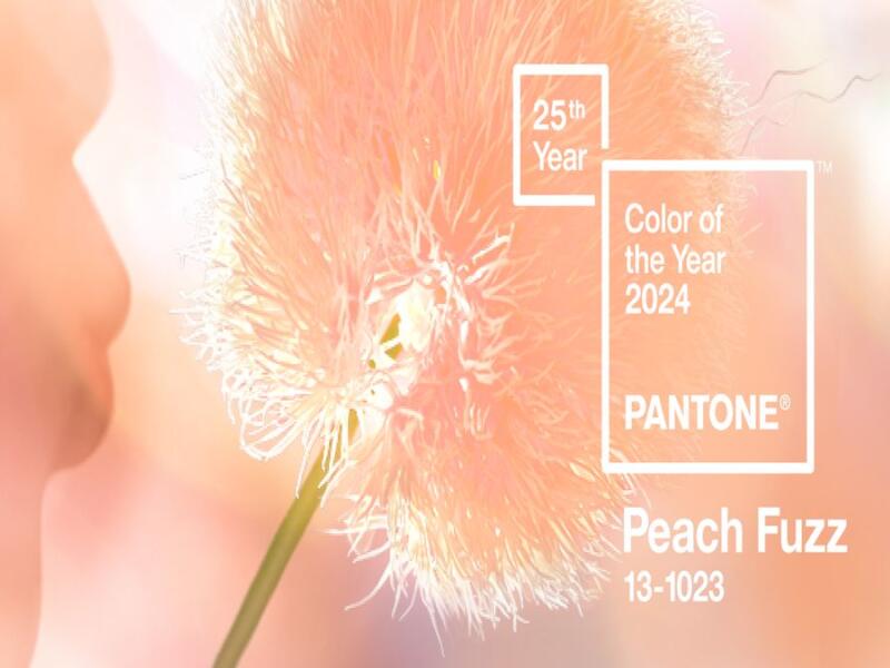 Колір року 2024 за версією Pantone – ніжний персик
