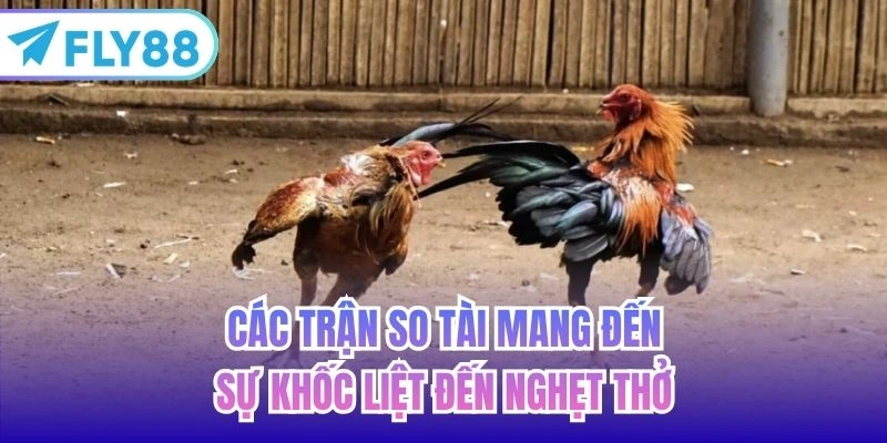 Các trận so tài mang đến sự khốc liệt đến nghẹt thở